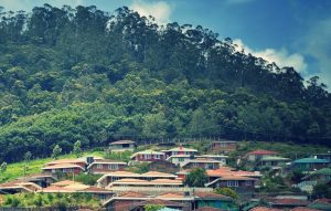 Amazing Weekend Trip Plan from Bangalore to Ooty