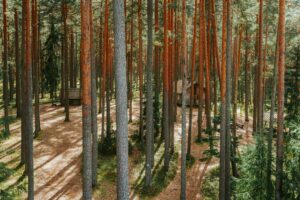 Living the Forest Life: My Tribal Homestay Experience in Bastar, Chhattisgarh