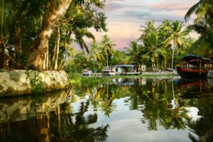 Houseboat Experience in Alleppey – Floating Through Kerala’s Backwaters