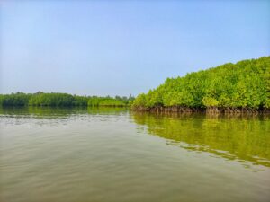 Experiencing the Living Traditions of Majuli Island, Assam: A River Island Like No Other
