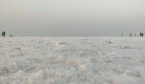 Camping Beneath the Stars: My Stargazing Escape in Rann of Kutch, Gujarat